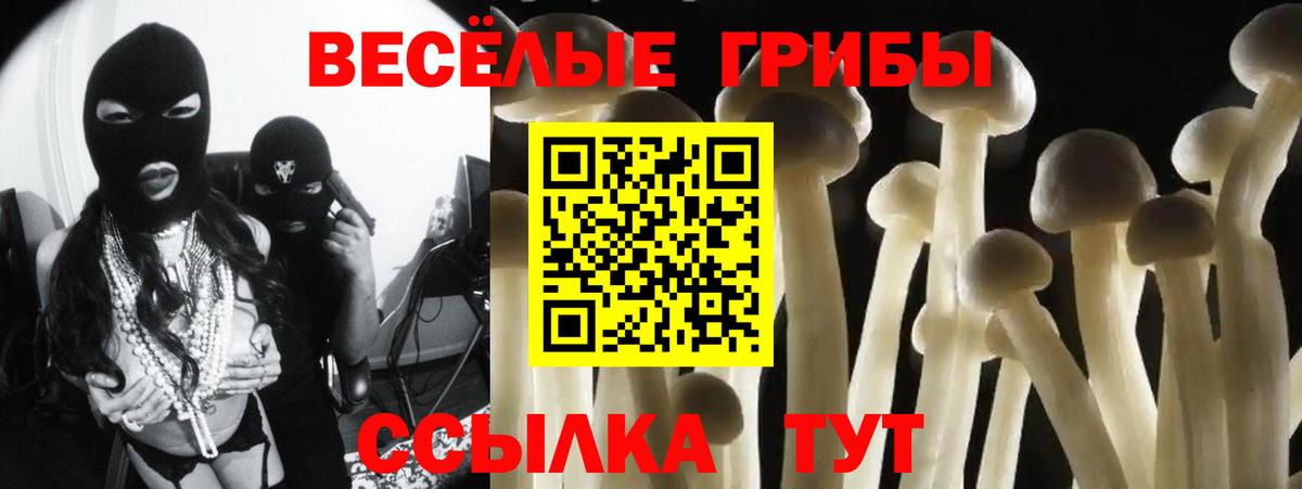 Галлюциногенные грибы MAGIC MUSHROOMS  Псилоцибиновые грибы Psilocybe  Аша  Вход с VPN 